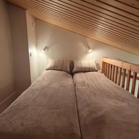 Alpinestar 1205 דירה לוי