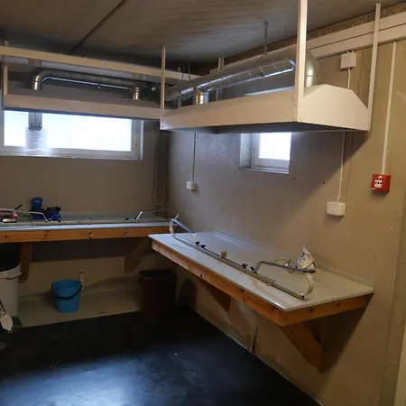 Alpinestar 1205 * Levi