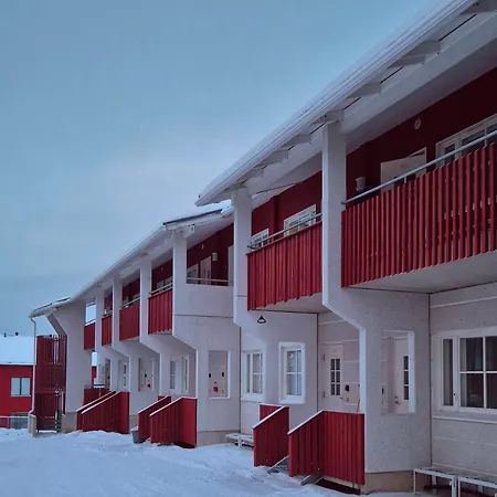 Alpinestar 1205 דירה לוי