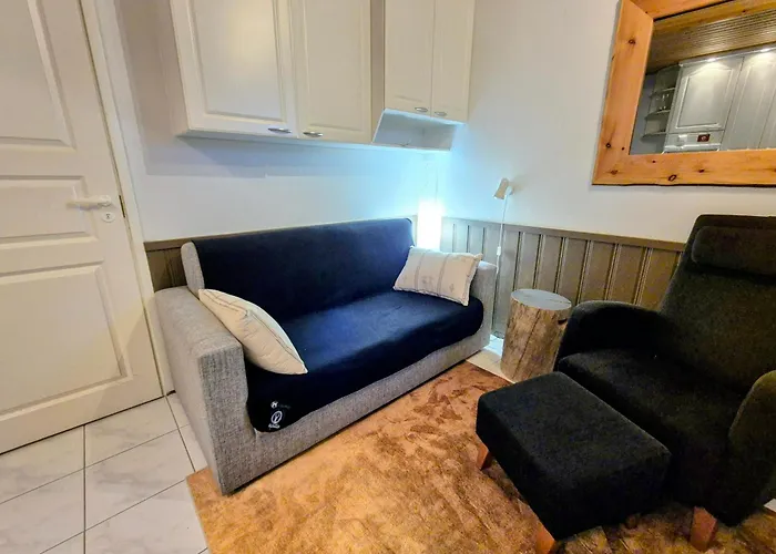 Alpinestar 1205 公寓 列维