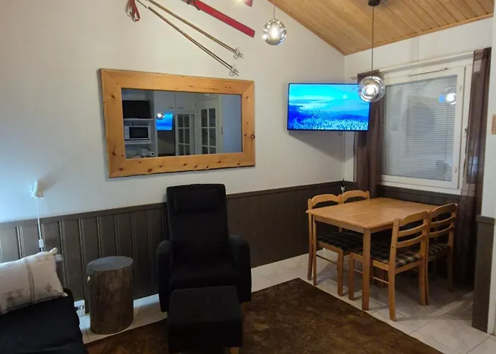 Alpinestar 1205 * Levi