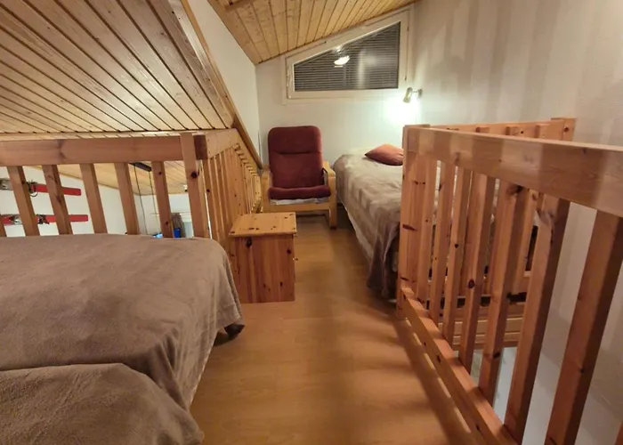 Alpinestar 1205 列维