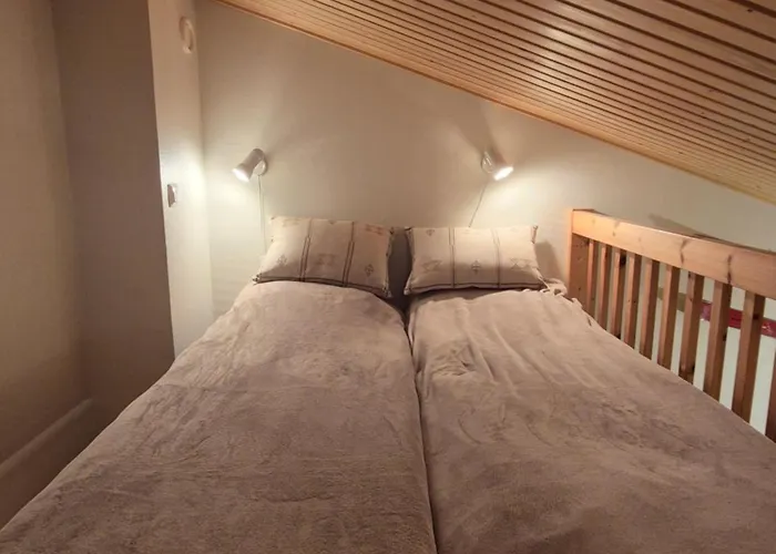 Alpinestar 1205 公寓 列维