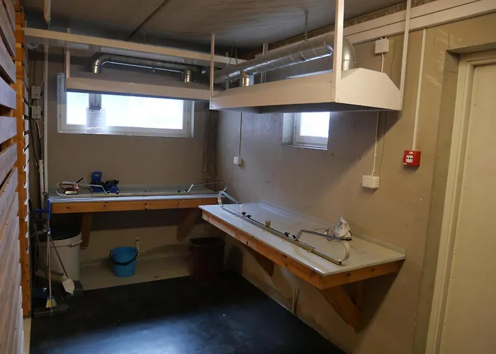 Alpinestar 1205 * 列维